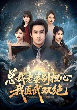 总裁老婆别担心，我医武双绝