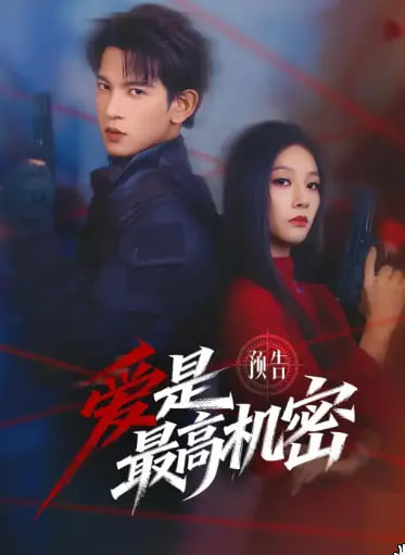 爱是最高机密