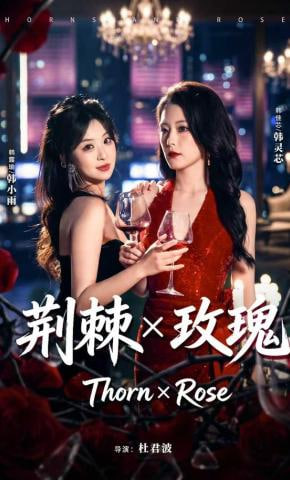 荆棘X玫瑰